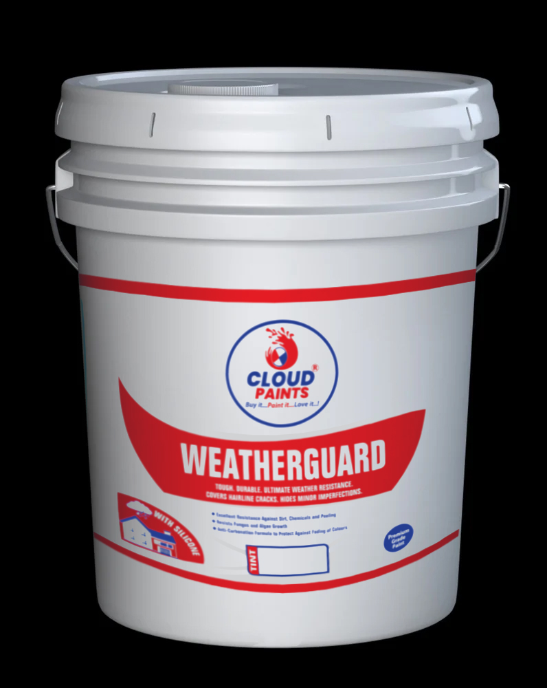 Cloud Paints Weatherguard 4L mock-up
